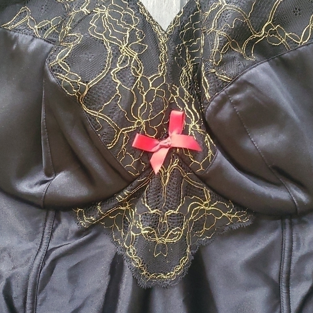 NWT Seriously Sexy by Cacique Corset Sz 22/24 - Picture 2 of 4
